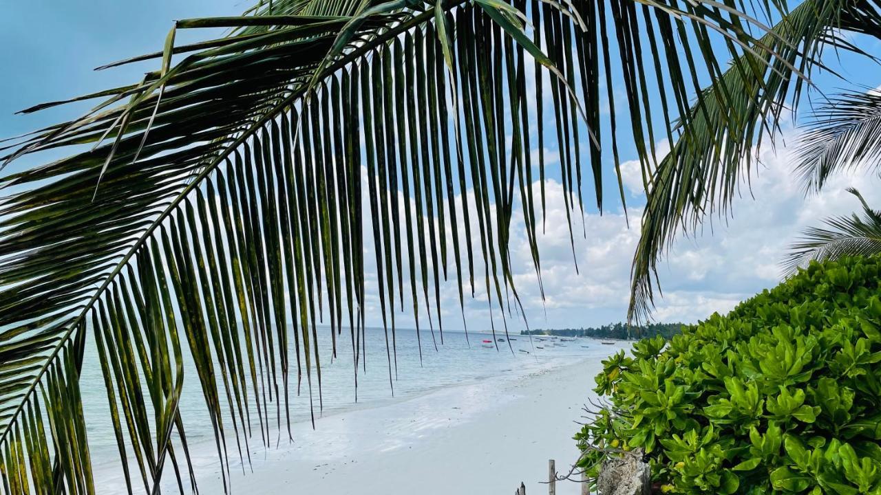 Palumboreef Beach Resort Uroa Extérieur photo